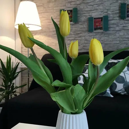 Apartman Luigi *